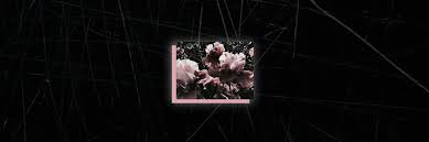 Do you want to send tweets while preserving your anonymity? Pin On Wallpaper