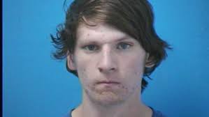 Adults, juvenile facing slew of charges after pregnant deer found skinned  in Franklin pool