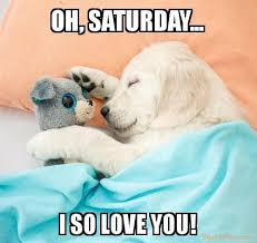 Puppy Loves Saturday Cuddles With Dog Toy Cutepuppymemeslove Funny Saturday Memes Puppy Quotes Puppy Cuddles