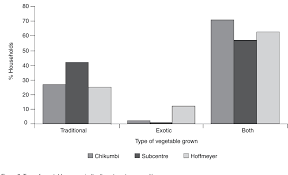 Image result for Solanum grossidentatum