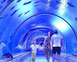 صورة Hurghada Grand Aquarium