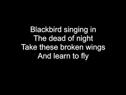 Take these broken wings and learn to fly. Blackbird Hd With Lyrics The Beatles Cover By Chris Landmark Youtube