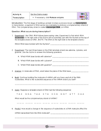 An answering provider, unlike an automatic answering machine along with a recorded message, will present your potential consumers cell phone responses with a real voice in the event you are unavailable to answer this can be relevant to student exploration building dna gizmo answer key. 29 Rna And Protein Synthesis Gizmo Worksheet Answers Free Worksheet Spreadsheet