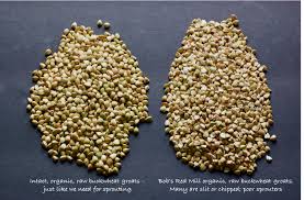 Strain and rinse with warm water. Is Sprouting Buckwheat Worth The Effort Ferment For Function