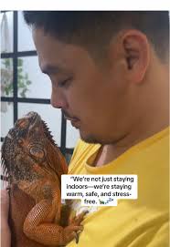 Caring for Iguanas During Typhoons: Essential Tips