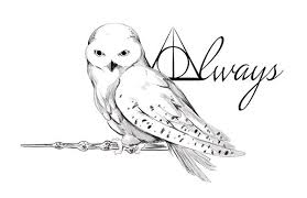 Love Harry Potter Harry Potter Owl Harry Potter Drawings Harry Potter Tattoos See more about art, drawing and draw. harry potter owl harry potter drawings