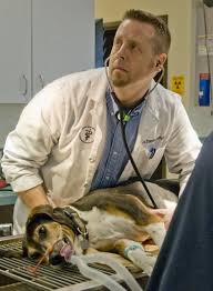 Family pet animal hospital has updated their hours and services. Kindness Family Pet Clinic In Forest Grove Changes Owners Pet Clinic Family Pet Pets