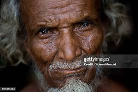 293 Monto Stock Photos, High-Res Pictures, and Images