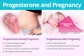 Image result for Pregnane Progestin