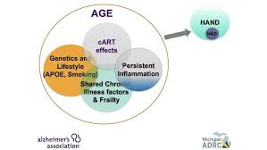 Image result for AIDS Dementia Complex