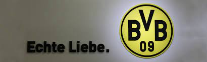 Dann trefft ihr mit dieser maske die optimale wahl. Informationen Uber Den Bvb Grafschaft Schwarz Gelb E V