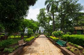 100+ Horniman Stock Photos, Pictures ...