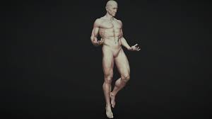 An anatomical studio of a standard atletic man. Male Full Body Sculpt Pose 1 Buy Royalty Free 3d Model By Zstuff Rumpelshtiltshin 2eb54da