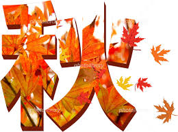 フォトライブラリー