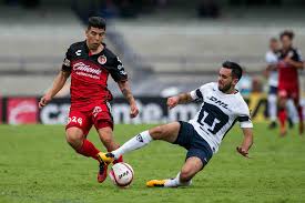 Don't your dragons need xolos to cuddle? Tijuana Xolos Quick Mendoza Deserves To Start But Is Unlikely To Get A Chance East Village Times