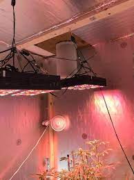 Maybe you would like to learn more about one of these? 10 Best Led Grow Lights For Cannabis 2020 Complete Buyer S Guide Production Grower