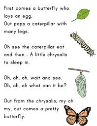 Here are 1,377 rhyming words you can use. Life Cycle Butterfly Worksheets Teaching Resources Tpt