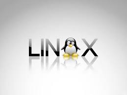 Patch Linux Now Google Red Hat Warn Over Critical Glibc Bug Zdnet Linux Wallpapers Linux Logo Linux