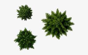 The dos and don'ts for landscaping around trees enhance the area around large trees with color, texture, and design elements—while keeping those big guys healthy and strong. Landscape Designs Plants Furniture P 192928 Png Images Pngio