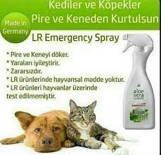 hulya caliskan guleryuz adli kullanicinin lr aloevera saglik guzellik panosundaki pin saglik aloe bilgi