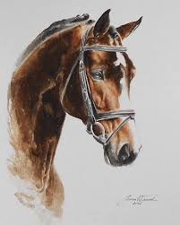 Stallion Lasko Hol 2016 By Joanna Wieczorek Stallionlasko Polandhorse Pferd Stallion Sanat Resimler Atlar