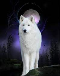 Check spelling or type a new query. 140 Wolf Hund Ideen Wolf Hunde Wolfe Kunst Wolfskunst