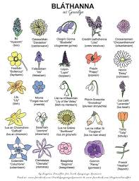 Blathanna Flowers Irish Gaelic Irish Language Irish Words