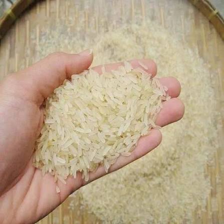 Miniket rice grains packed for export