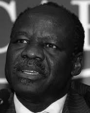 The South Sudan Defence Forces in the Wake of the Juba Declaration