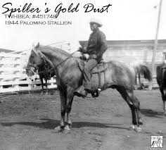 Gold dust farms andalusians, nuevo, california. Westwood Farms Reference Spillers Gold Dust
