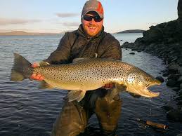 Trout is the most commonly stalked and native fish in southern utah. Very Big Brown Trout In Iceland Brown Trout Fly Fishing Art Fly Fishing