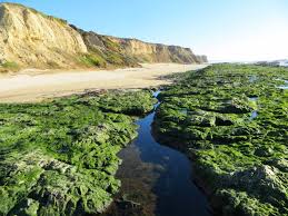 Find family hotels with indoor or outdoor swimming pools for kids and phone numbers for half moon bay california hotel and motels with a pool. Redondo Beach On Half Moon Bay Half Moon Bay Ca California Beaches