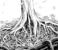 Did you scroll all this way to get facts about tree branch drawing? What It S That Easy Draw A Complex Tree Root With Trunk Branch Root Brush Material Manga Materials