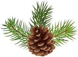 Maybe you would like to learn more about one of these? Pine Cone Png Clip Art Image Gallery Yopriceville High Quality Images And Transparent Png Free Clipart