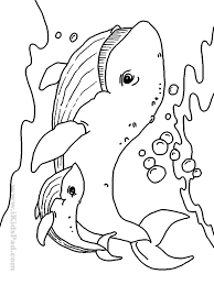 Creatures Great And Small Sea Prints To Color Recherche Google Animal Coloring Pages Animal Coloring Books Butterfly Coloring Page