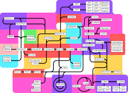 Metabolic Pathway Wikipedia