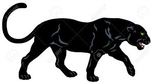 Black Panther Side View Image Isolated On White Background Black Panther Drawing Black Panther Tattoo Panther Tattoo