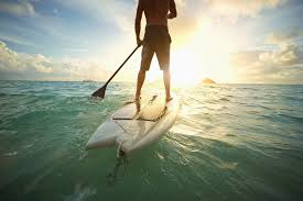 Paddle boarding is the coolest sport on the planet right now. The Best Stand Up Paddleboards Stand Up Paddleboard Reviews