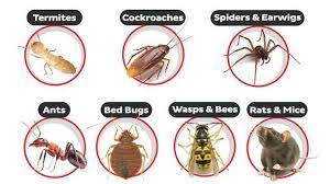 Whether it's for homes, commercial structures, or industry, you can choose an option to have either monthly. Our Services Across The Coast Pest Control Sc Pest Control