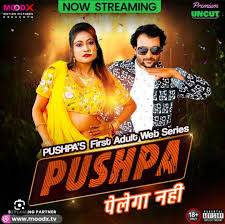 Tv serial trying to recreate Pushpa 2 scene : rtollywood