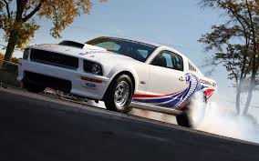 2005 Mustang Cobra Jet I Would So Love To Let One Of These Off Its Leash For A Few Minutes Or Hours Ford Mustang Cobra Mustang Cobra Jet New Ford Mustang