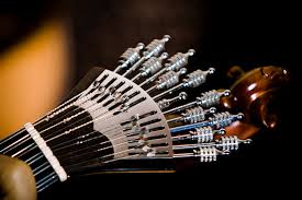 Image result for Fadogiella