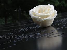 Nun kommen sie zum wichtigsten abschnitt, dem leben des verstorbenen. In Memoriam Www Heimat123 De