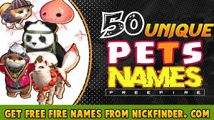 You can perpetually arrange your most famous character name from all of your favorite categories alike. 100 Best Free Fire Pet Nickname Pointofgamer