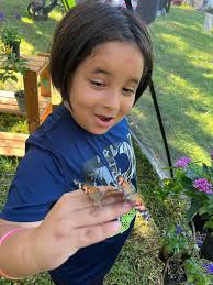 This group is to support the Wekiva Community Garden. The garden was  created to support and promote Florida wildlife. We are passionate about  planting "native" and Florida friendly plants in order to