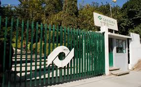 Conalep querétaro tercer lugar del concurso nacional la catrina y el catrín 2020. Conalep El Universal