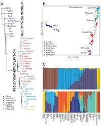 Which Population Is Most Genetically Distant From Africans