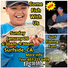 BigFish Bait And Tackle