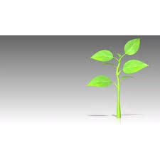 The best gifs are on giphy. Plant Growth Video Background For Powerpoint Presentermedia Com