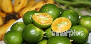 Khasiat limau purut untuk kurus adalah ia merupakan sumber fiber (serat) yang baik. Suri Rumah Buat Duit Jual Pati Limau Kasturi Sambutan Luar Biasa